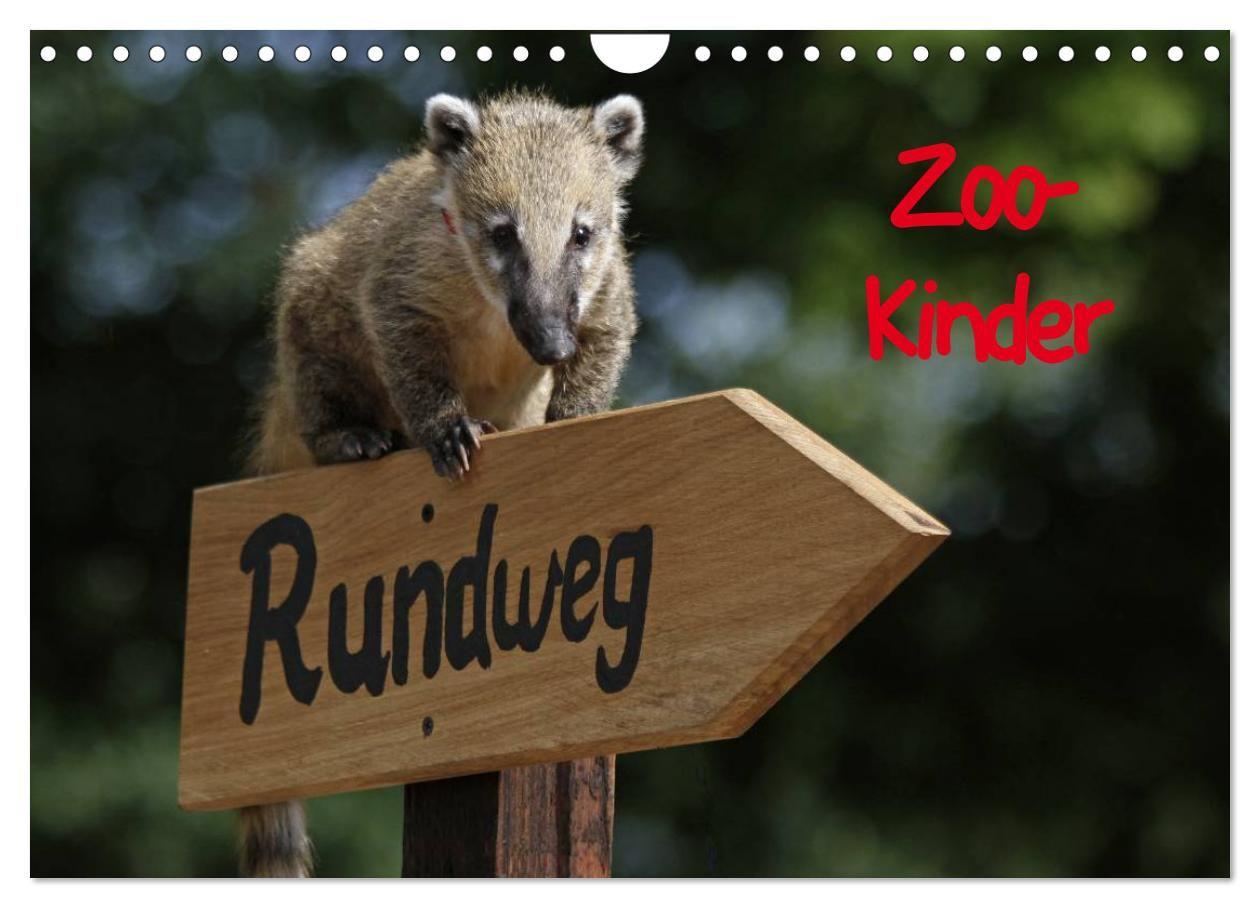 Zoo-Kinder (Wandkalender 2027 DIN A4 quer) CALVENDO Monatskalender