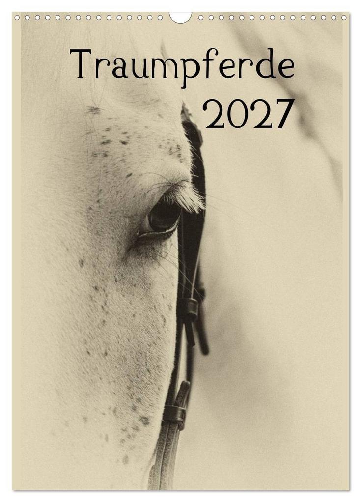 Traumpferde 2027 (Wandkalender 2027 DIN A3 hoch) CALVENDO Monatskalender