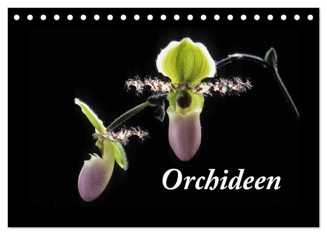 Orchideen 2027 (Tischkalender 2027 DIN A5 quer) CALVENDO Monatskalender