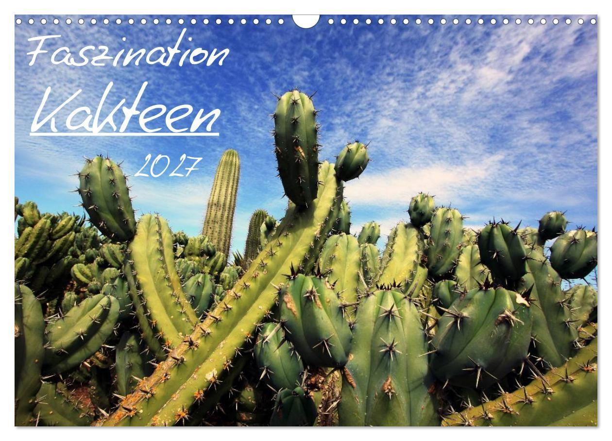 Faszination Kakteen (Wandkalender 2027 DIN A3 quer) CALVENDO Monatskalender