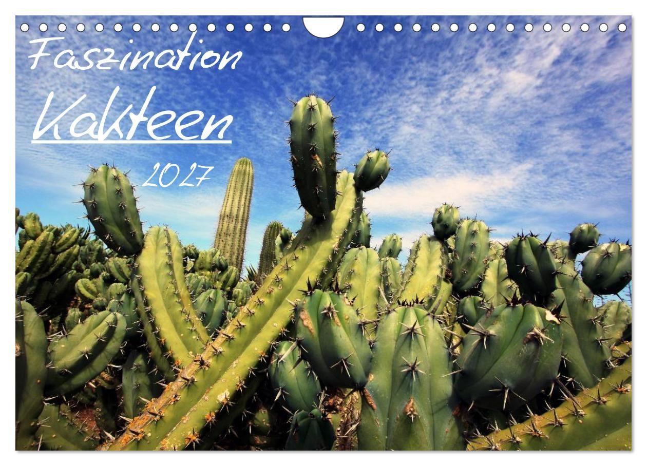 Faszination Kakteen (Wandkalender 2027 DIN A4 quer) CALVENDO Monatskalender