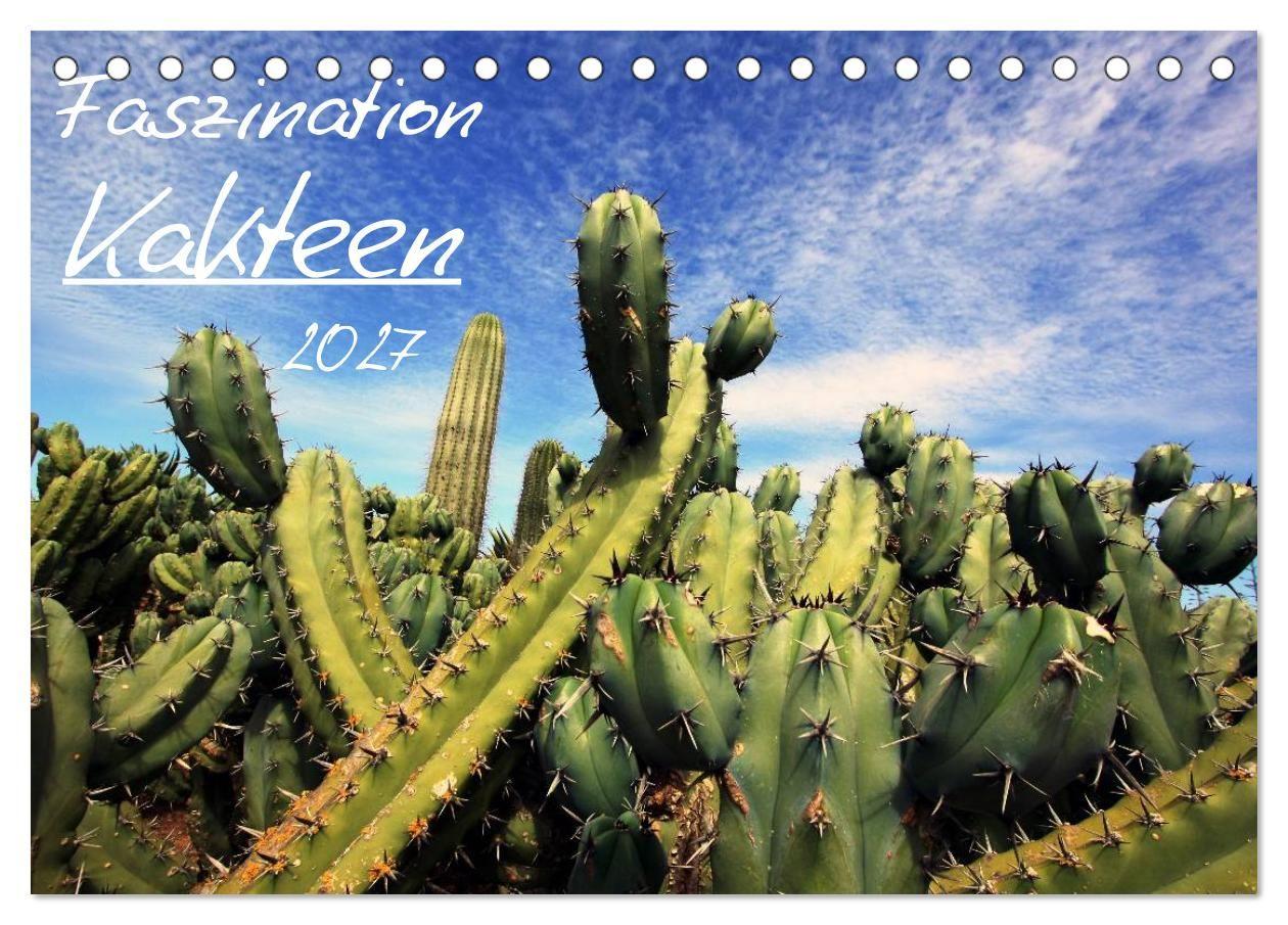 Faszination Kakteen (Tischkalender 2027 DIN A5 quer) CALVENDO Monatskalender