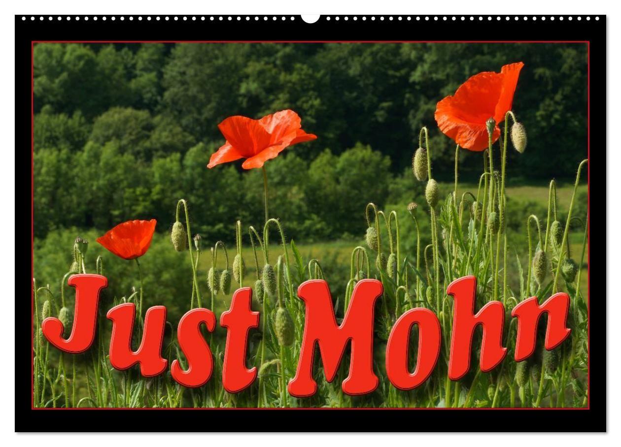 Just Mohn (Wandkalender 2027 DIN A2 quer) CALVENDO Monatskalender