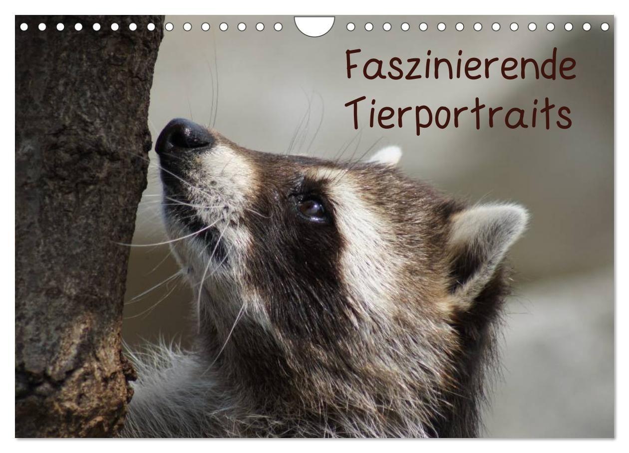 Faszinierende Tierportraits (Wandkalender 2027 DIN A4 quer) CALVENDO Monatskalender