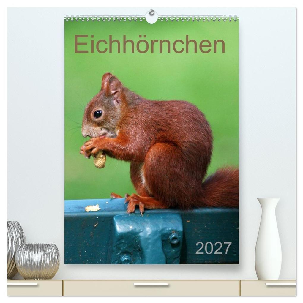 Eichhörnchen (hochwertiger Premium Wandkalender 2027 DIN A2 hoch) Kunstdruck in Hochglanz