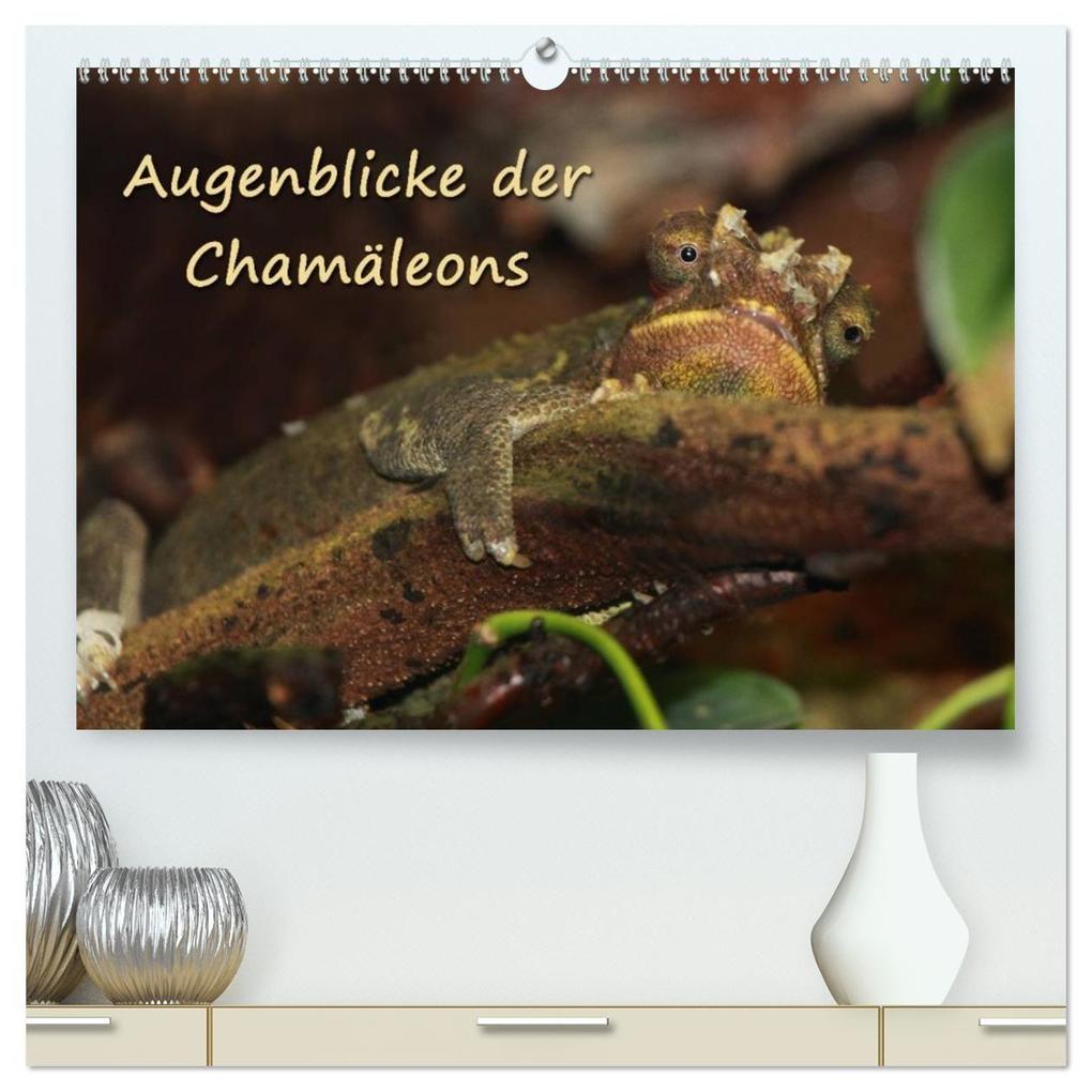 Augenblicke der Chamäleons (hochwertiger Premium Wandkalender 2027 DIN A2 quer) Kunstdruck in Hochglanz