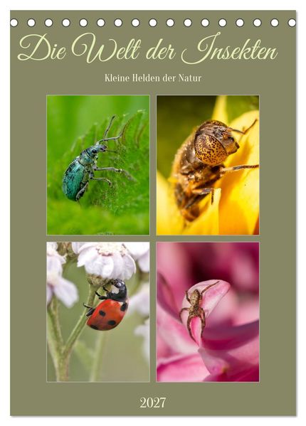 Die Welt der Insekten (Tischkalender 2027 DIN A5 hoch) CALVENDO Monatskalender