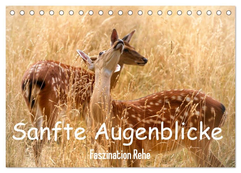 Sanfte Augenblicke Faszination Rehe (Tischkalender 2027 DIN A5 quer) CALVENDO Monatskalender