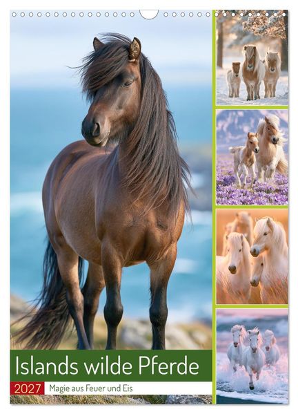 Islands wilde Pferde (Wandkalender 2027 DIN A3 hoch) CALVENDO Monatskalender