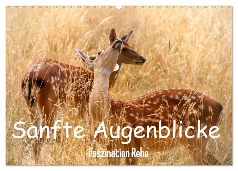 Sanfte Augenblicke Faszination Rehe (Wandkalender 2027 DIN A2 quer) CALVENDO Monatskalender