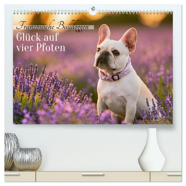 Französische Bulldoggen (hochwertiger Premium Wandkalender 2027 DIN A2 quer) Kunstdruck in Hochglanz