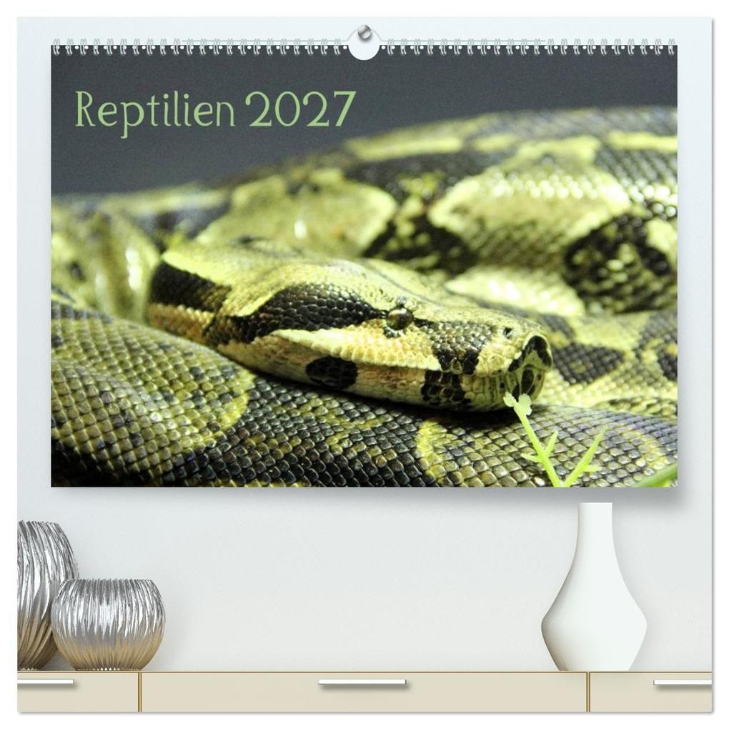 Reptilien 2027 (hochwertiger Premium Wandkalender 2027 DIN A2 quer) Kunstdruck in Hochglanz