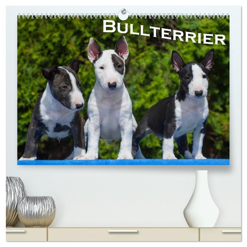 Bullterrier (hochwertiger Premium Wandkalender 2027 DIN A2 quer) Kunstdruck in Hochglanz
