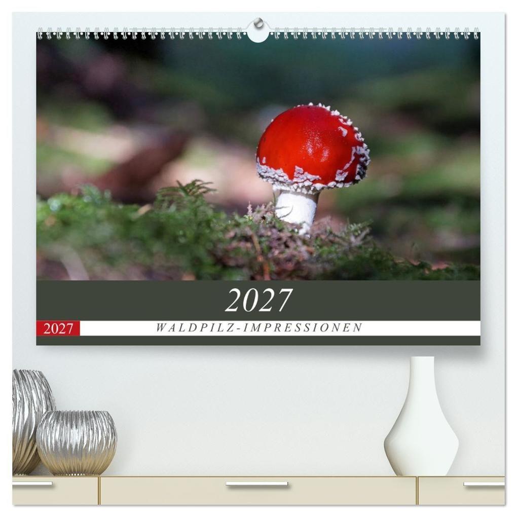 Waldpilz-Impressionen (hochwertiger Premium Wandkalender 2027 DIN A2 quer) Kunstdruck in Hochglanz