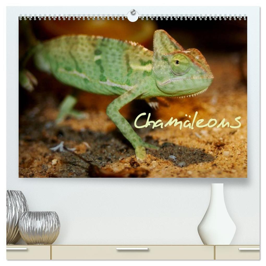 Chamäleons (hochwertiger Premium Wandkalender 2027 DIN A2 quer) Kunstdruck in Hochglanz