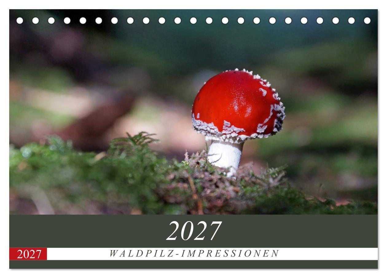 Waldpilz-Impressionen (Tischkalender 2027 DIN A5 quer) CALVENDO Monatskalender