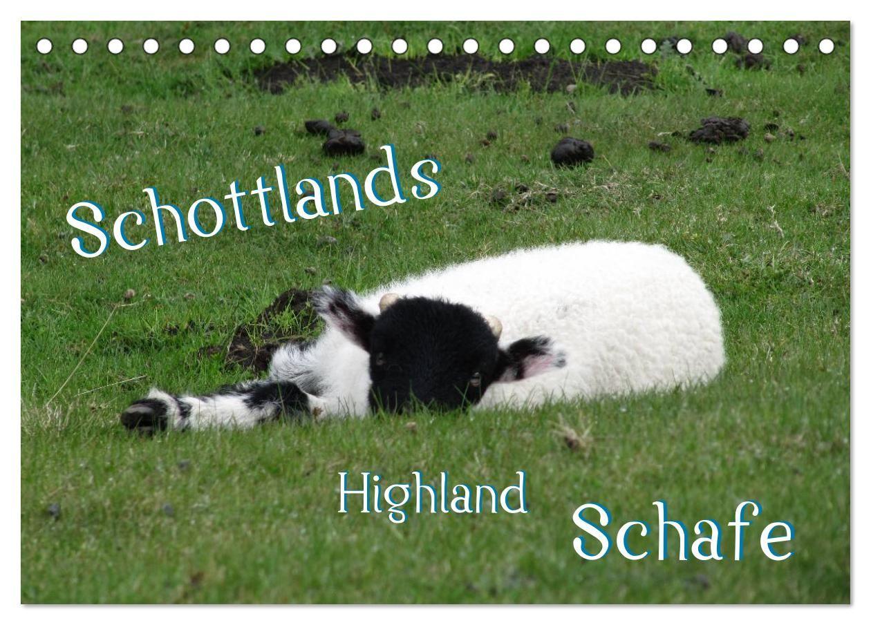 Schottlands Highland Schafe (Tischkalender 2027 DIN A5 quer) CALVENDO Monatskalender