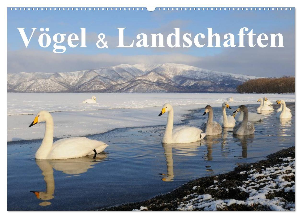 Vögel & Landschaften (Wandkalender 2027 DIN A2 quer) CALVENDO Monatskalender