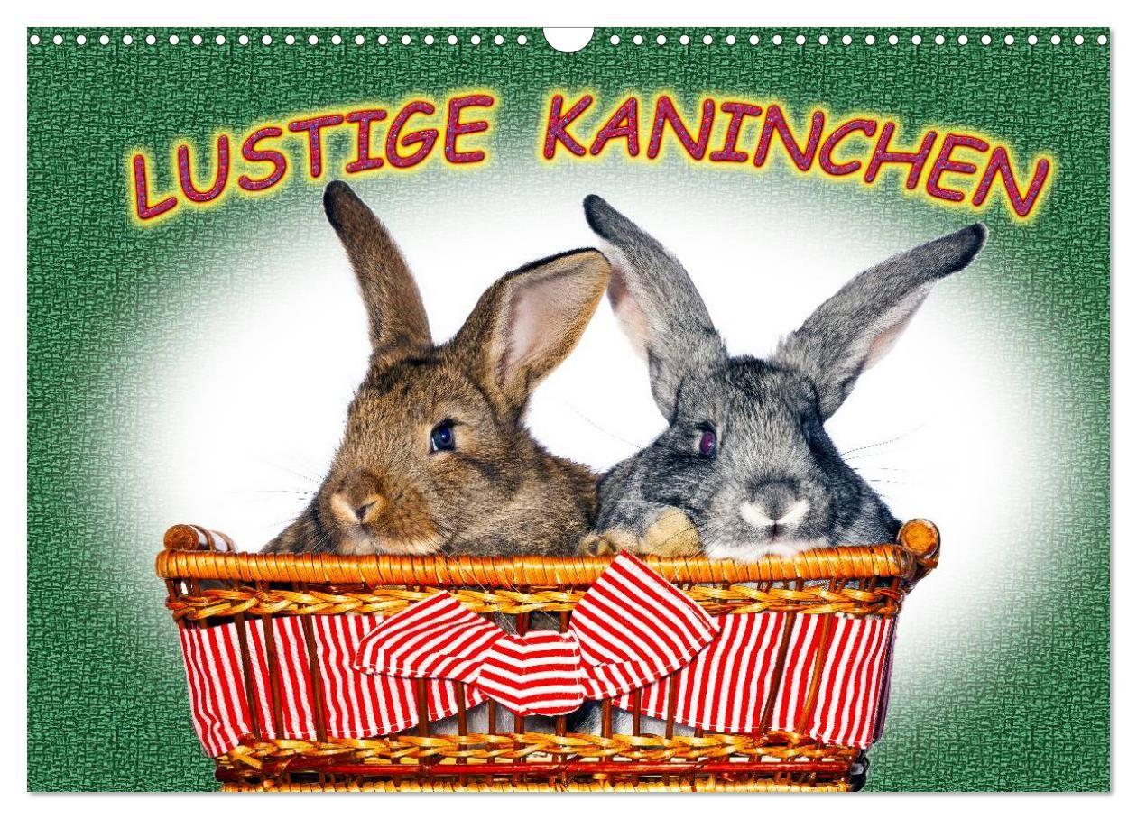 Lustige Kaninchen (Wandkalender 2027 DIN A3 quer) CALVENDO Monatskalender