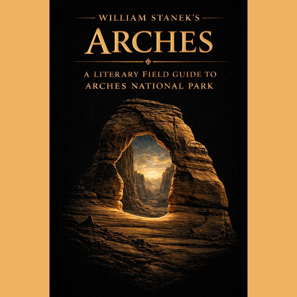 William Stanek's Arches