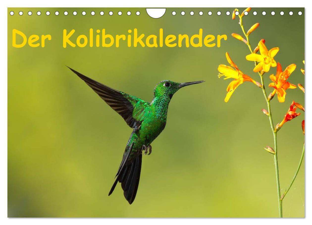 Der Kolibrikalender (Wandkalender 2027 DIN A4 quer) CALVENDO Monatskalender