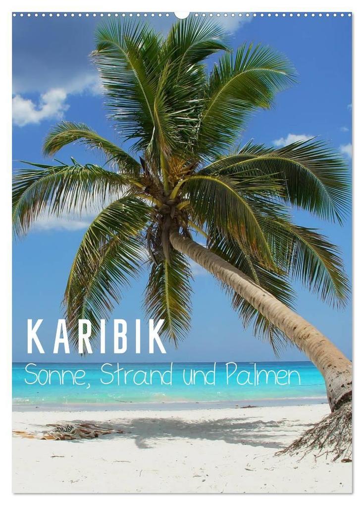 Karibik - Sonne Strand und Palmen (Wandkalender 2027 DIN A2 hoch) CALVENDO Monatskalender