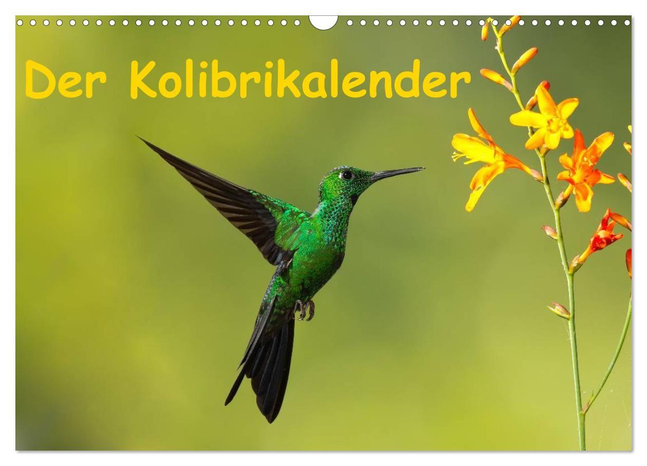 Der Kolibrikalender (Wandkalender 2027 DIN A3 quer) CALVENDO Monatskalender