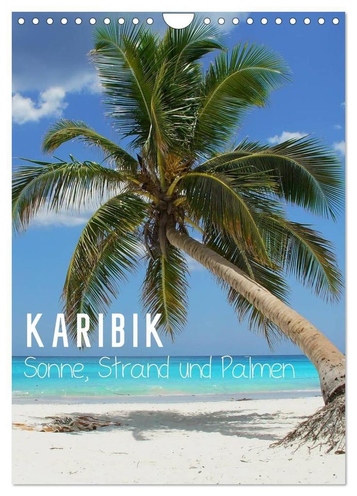 Karibik - Sonne Strand und Palmen (Wandkalender 2027 DIN A4 hoch) CALVENDO Monatskalender