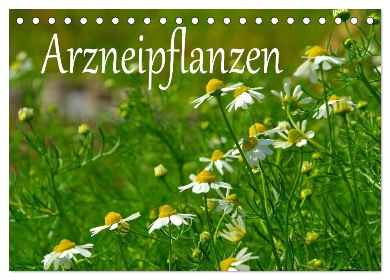 Arzneipflanzen (Tischkalender 2027 DIN A5 quer) CALVENDO Monatskalender