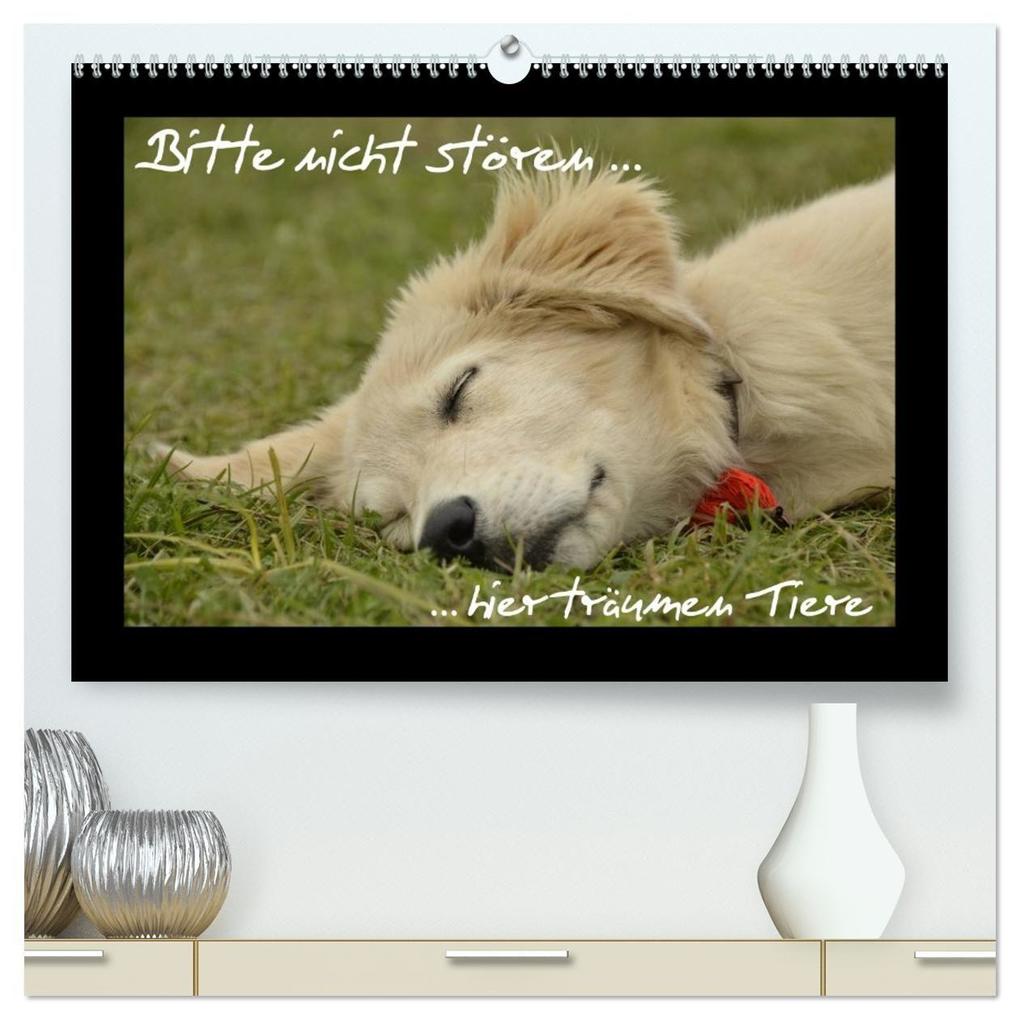 Bitte nicht stören... hier träumen Tiere (hochwertiger Premium Wandkalender 2027 DIN A2 quer) Kunstdruck in Hochglanz