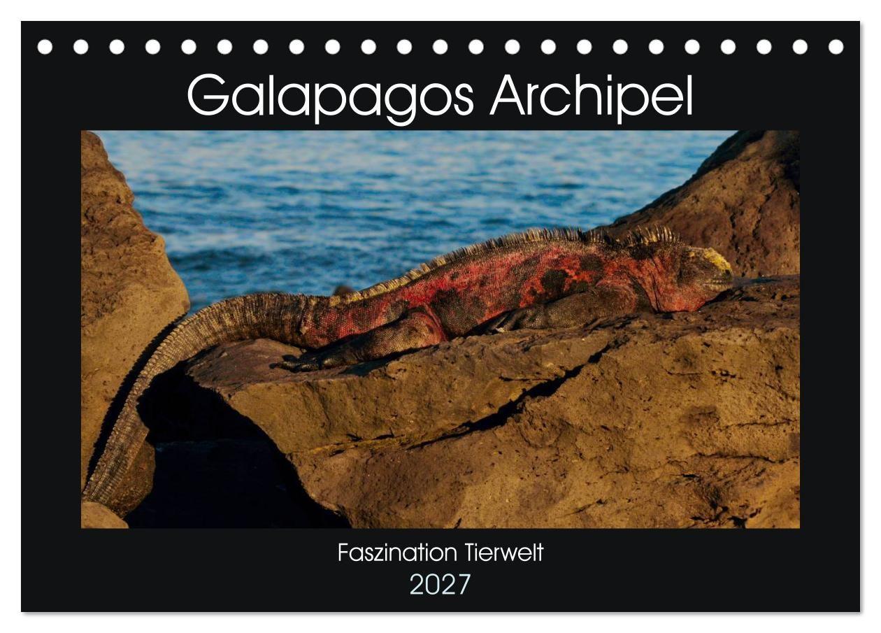 Galapagos Archipel- Faszination Tierwelt (Tischkalender 2027 DIN A5 quer) CALVENDO Monatskalender