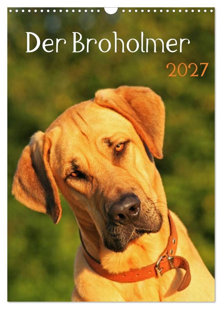 Der Broholmer (Wandkalender 2027 DIN A3 hoch) CALVENDO Monatskalender