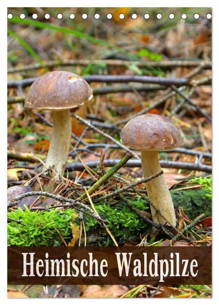 Heimische Waldpilze (Tischkalender 2027 DIN A5 hoch) CALVENDO Monatskalender