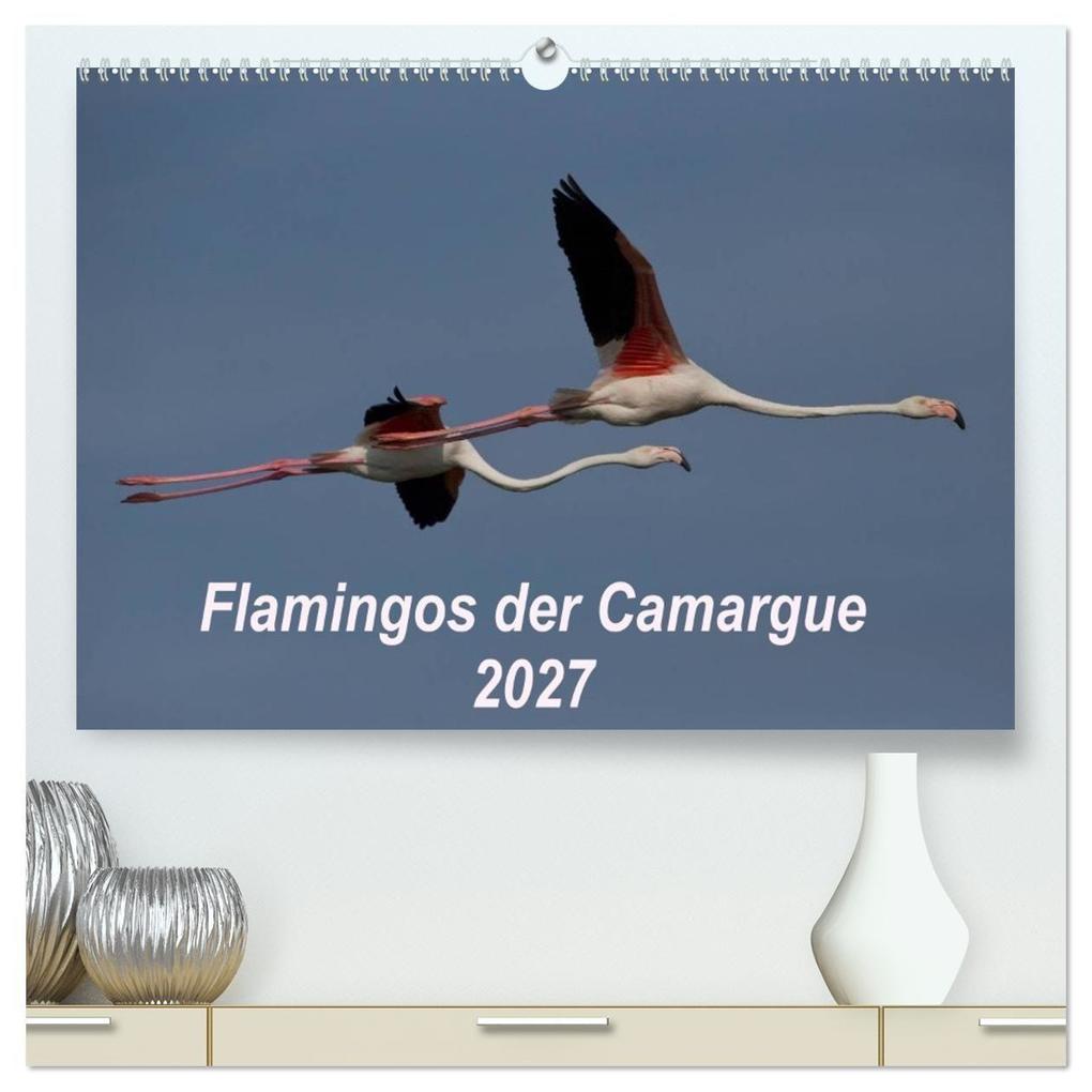Flamingos der Camargue 2027 (hochwertiger Premium Wandkalender 2027 DIN A2 quer) Kunstdruck in Hochglanz