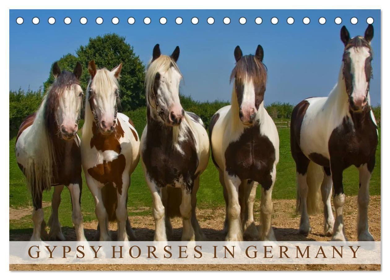 Gypsy Horses (Tischkalender 2027 DIN A5 quer) CALVENDO Monatskalender