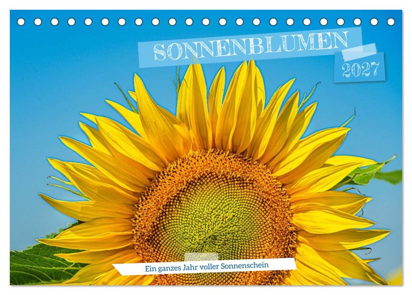 Sonnenblumen - ein ganzes Jahr voller Sonnenschein (Tischkalender 2027 DIN A5 quer) CALVENDO Monatskalender