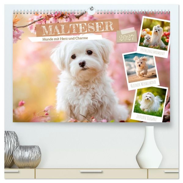 Malteser - Hunde mit Herz und Charme (hochwertiger Premium Wandkalender 2027 DIN A2 quer) Kunstdruck in Hochglanz