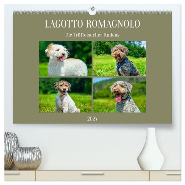Lagotto Romagnolo - die Trüffelsucher Italiens (hochwertiger Premium Wandkalender 2027 DIN A2 quer) Kunstdruck in Hochglanz