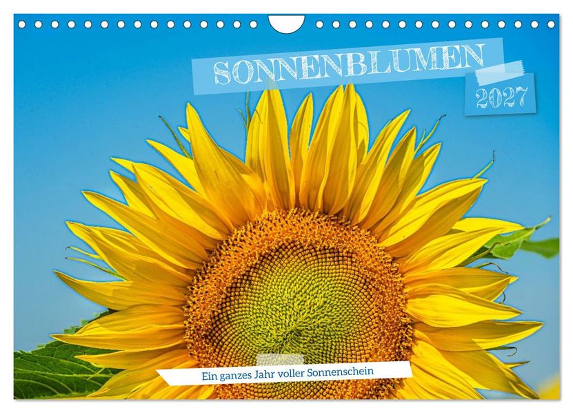 Sonnenblumen - ein ganzes Jahr voller Sonnenschein (Wandkalender 2027 DIN A4 quer) CALVENDO Monatskalender