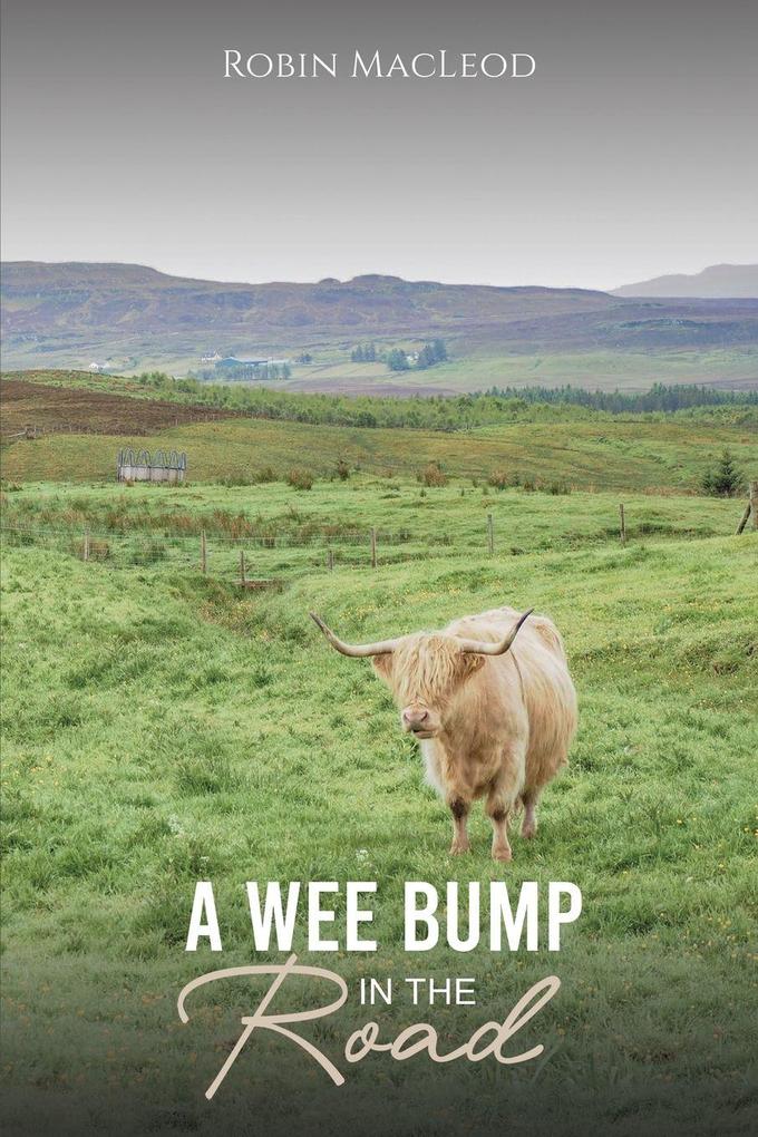 A Wee Bump in the Road