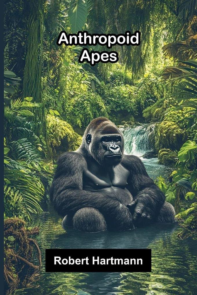 Anthropoid apes
