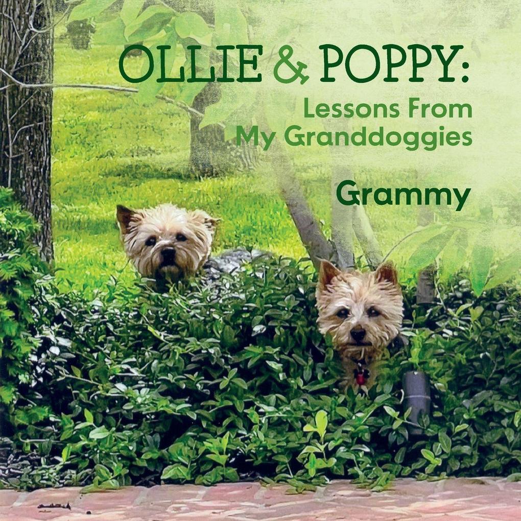 OLLIE & POPPY