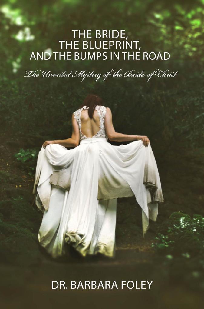 The Bride the Blueprint and the Bumps in the Road