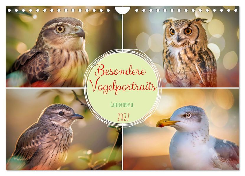 Besondere Vogelportraits (Wandkalender 2027 DIN A4 quer) CALVENDO Monatskalender