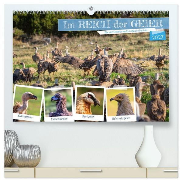 Im REICH der GEIER - Die 4 Geierarten Europas im Portrait (hochwertiger Premium Wandkalender 2027 DIN A2 quer) Kunstdruck in Hochglanz