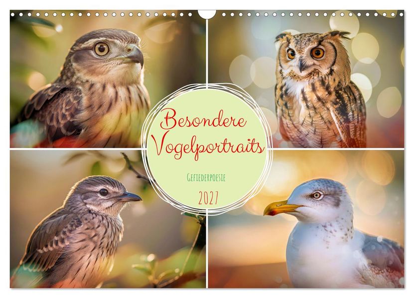 Besondere Vogelportraits (Wandkalender 2027 DIN A3 quer) CALVENDO Monatskalender