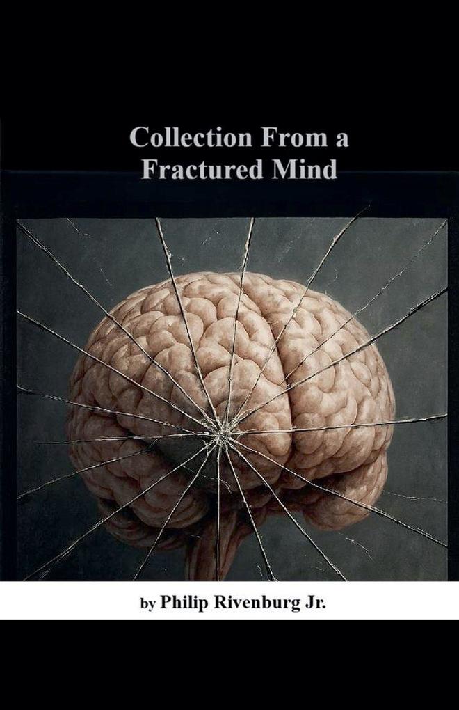 Collection From a Fractured Mind