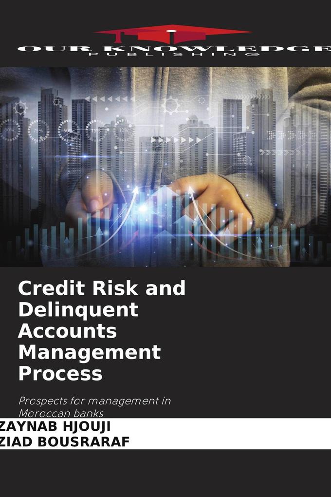 Credit Risk and Delinquent Accounts Management Process