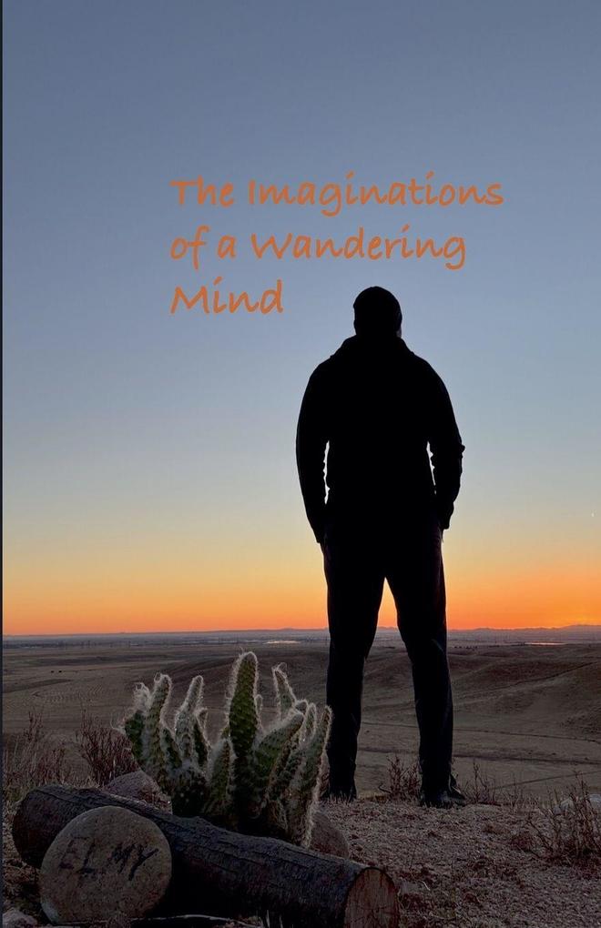 The Imaginations of a Wandering Mind