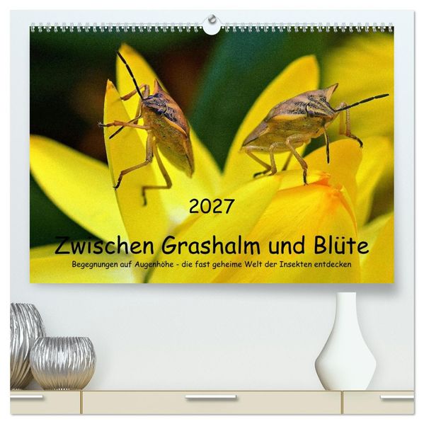 Zwischen Grashalm und Blüte (hochwertiger Premium Wandkalender 2027 DIN A2 quer) Kunstdruck in Hochglanz